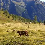 Karnerhof *