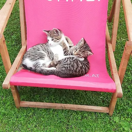 Karnerhof 아파트 마리아프파르