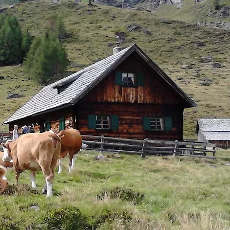 Διαμέρισμα Karnerhof Mariapfarr