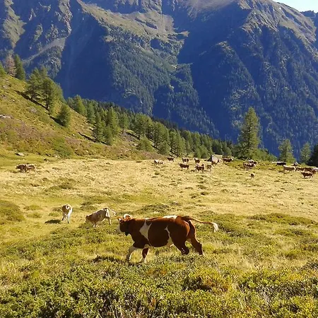 Karnerhof *