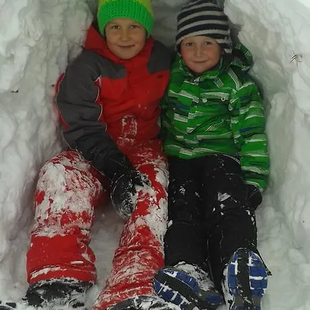 Διαμέρισμα Karnerhof Mariapfarr