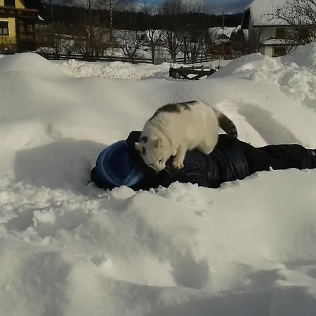 Karnerhof Διαμέρισμα Mariapfarr