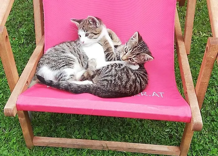 Karnerhof Appartement Mariapfarr