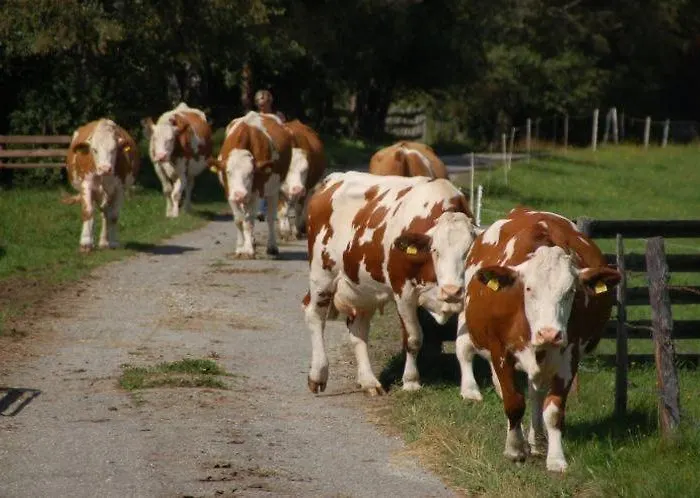 Karnerhof Διαμέρισμα