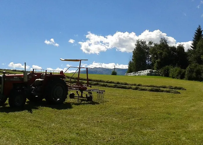 Karnerhof Mariapfarr