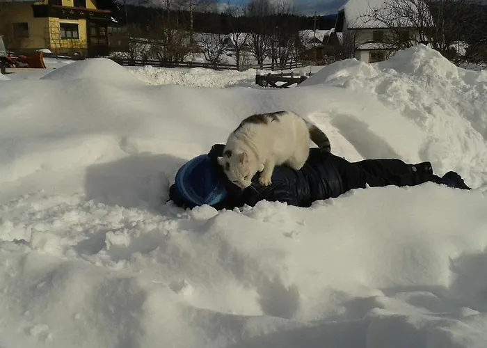 Karnerhof Appartement Mariapfarr