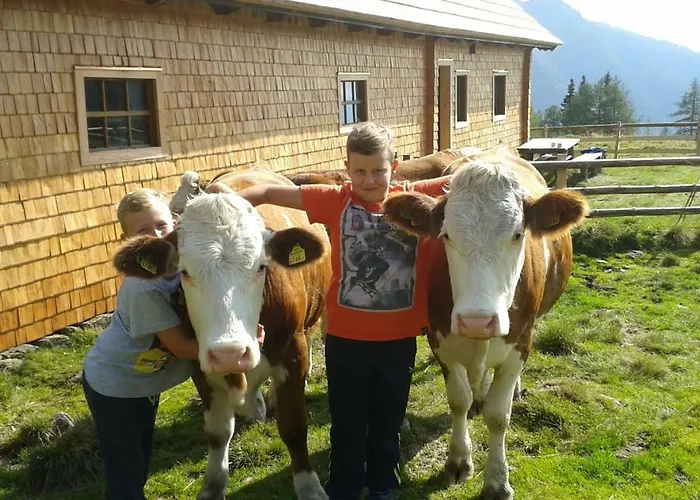 Karnerhof Appartement Mariapfarr