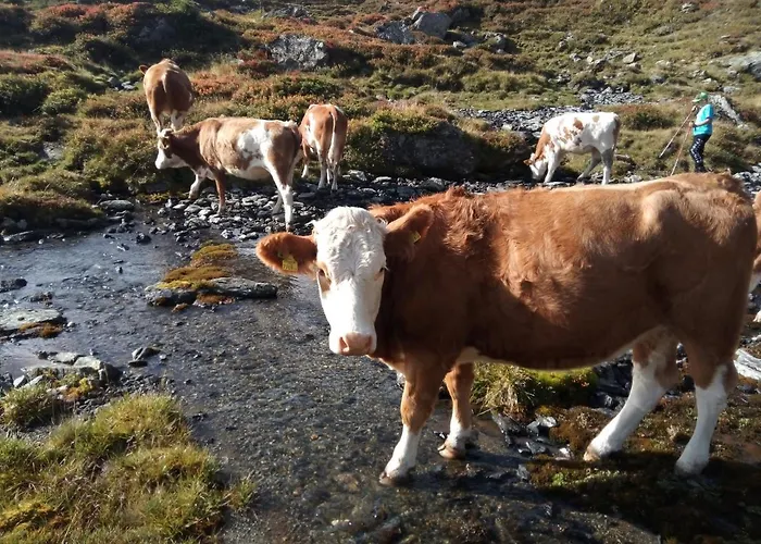 Karnerhof * Mariapfarr